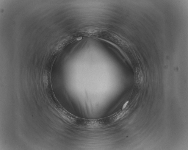 X0000074210562200609151559