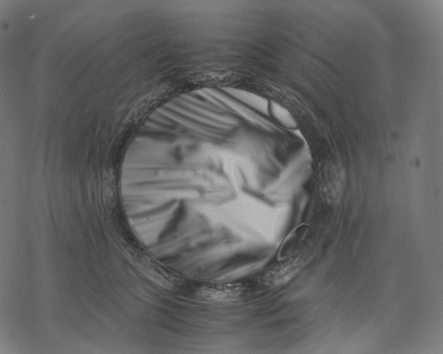 X0000074210563200609151559