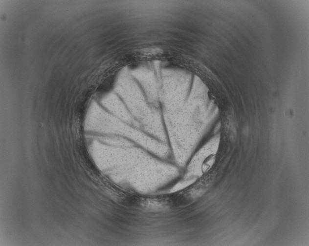 X0000074210565200609151559