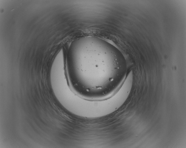 X0000074210566200609151559