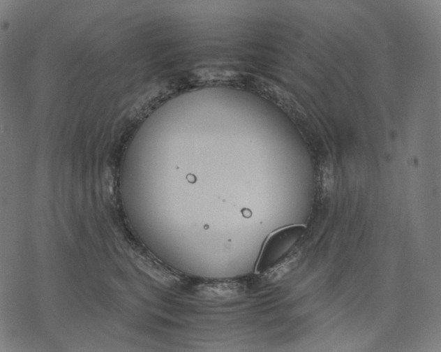 X0000074210567200609151559