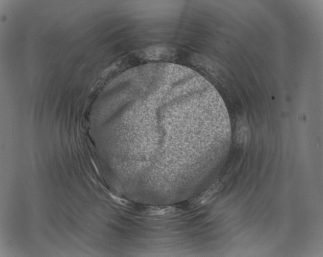 X0000074210569200609151559