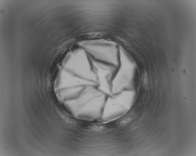 X0000074210570200609151559