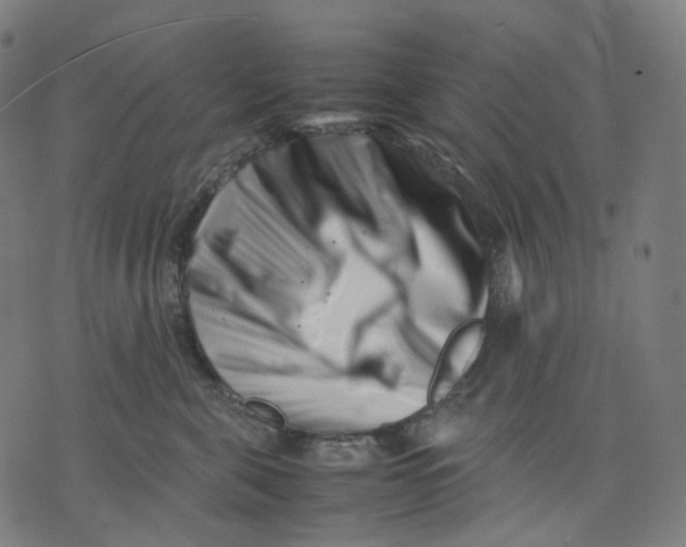 X0000074210571200609151559