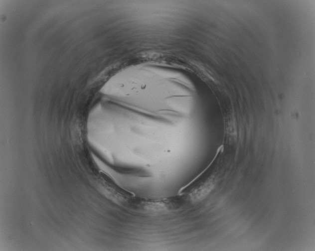 X0000074210572200609151559