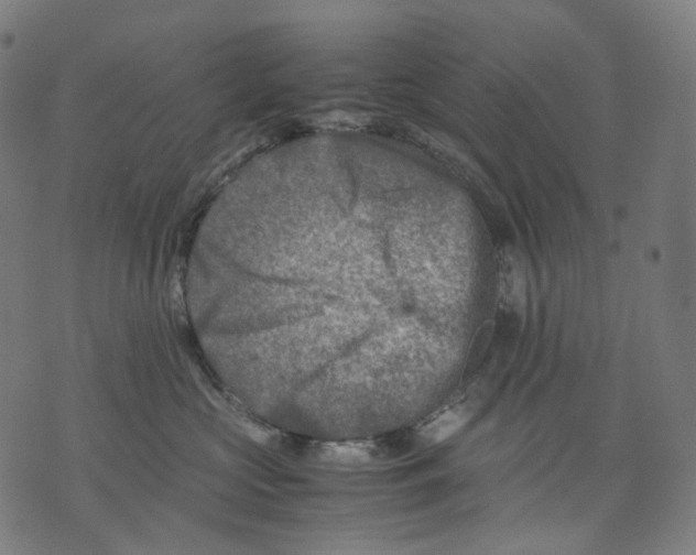 X0000074210573200609151559