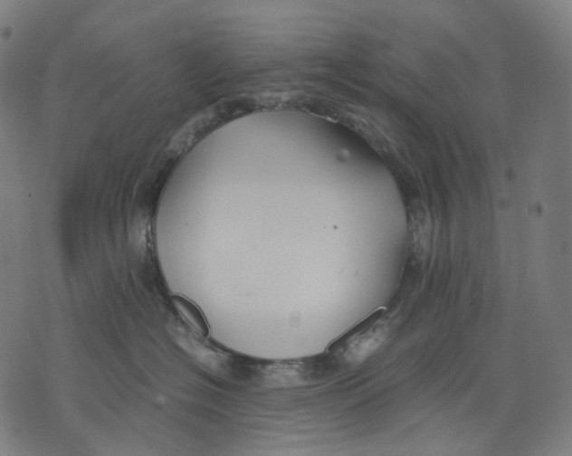 X0000074210574200609151559