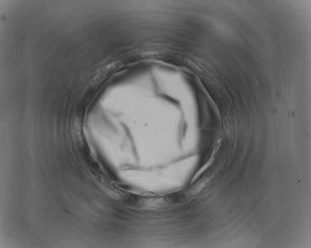 X0000074210575200609151559