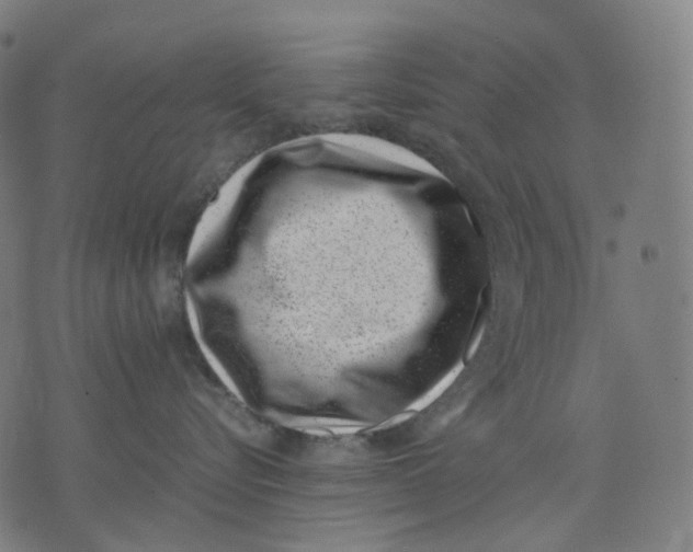 X0000074210576200609151559