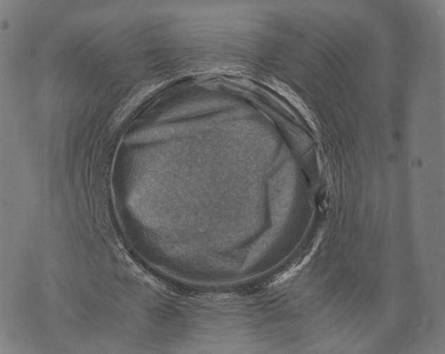 X0000074210577200609151558