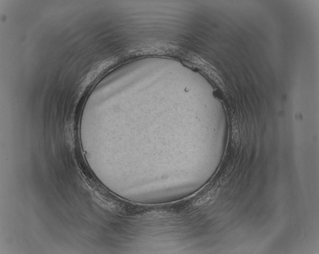 X0000074210578200609151558