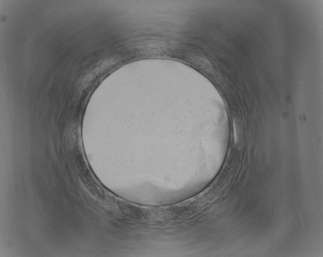 X0000074210579200609151558