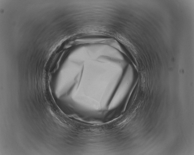 X0000074210580200609151558