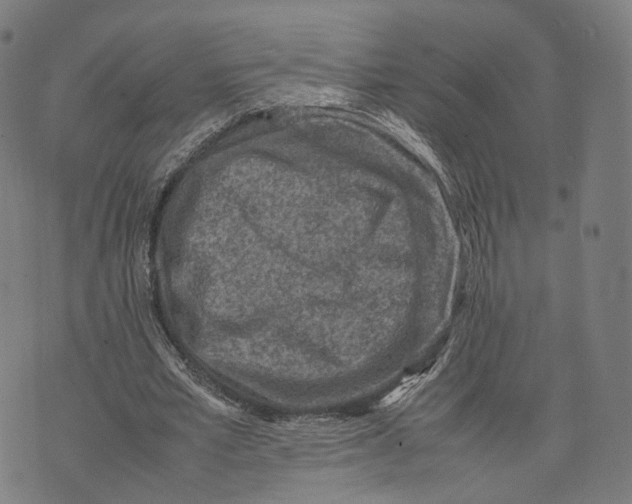 X0000074210581200609151558