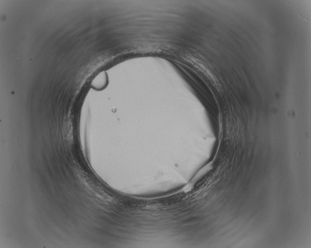 X0000074210584200609151558