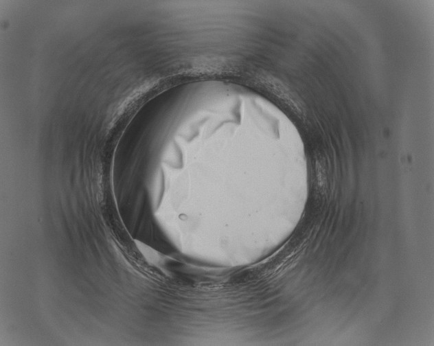 X0000074210588200609151558