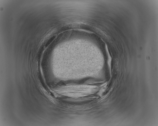 X0000074210589200609151558