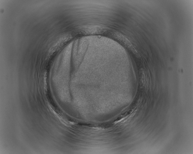 X0000074210590200609151558