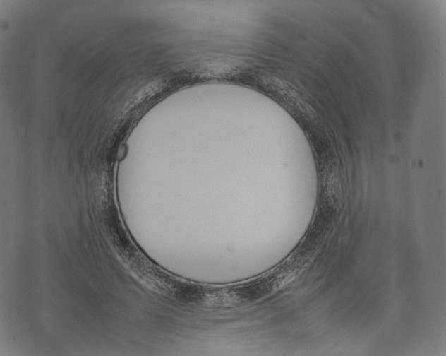 X0000074210591200609151558