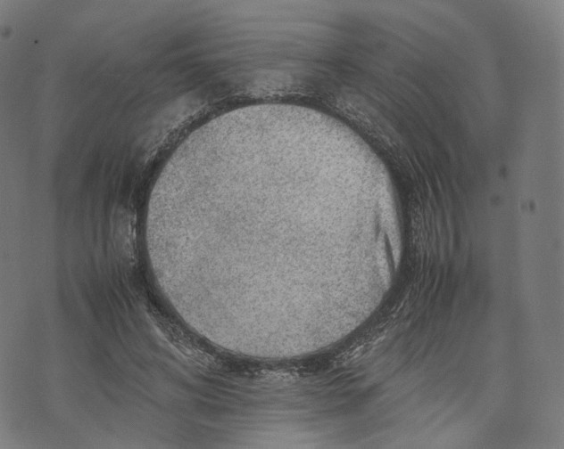 X0000074210592200609151558