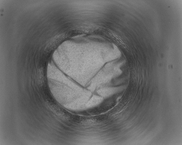 X0000074210594200609151558