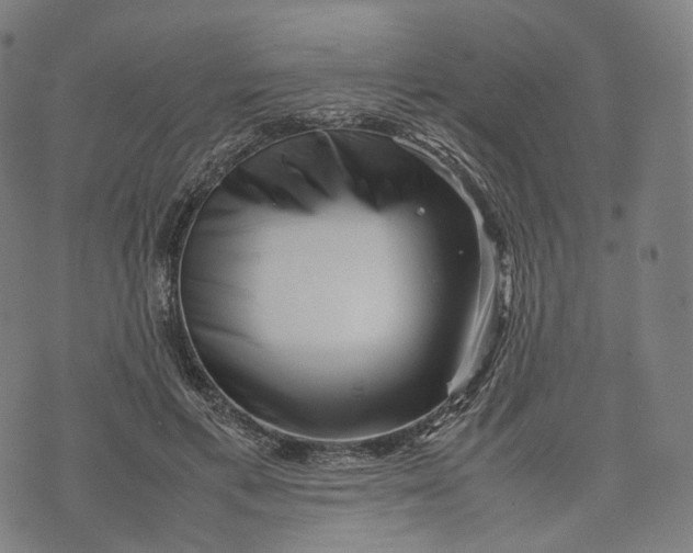 X0000074210597200609151558