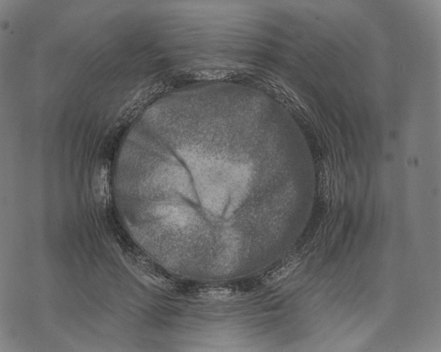 X0000074210598200609151558