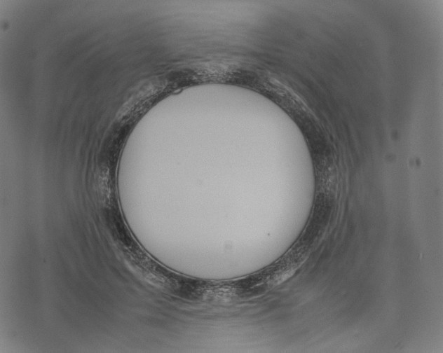 X0000074210599200609151558