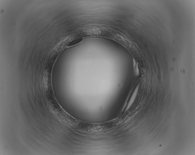 X0000074210600200609151558