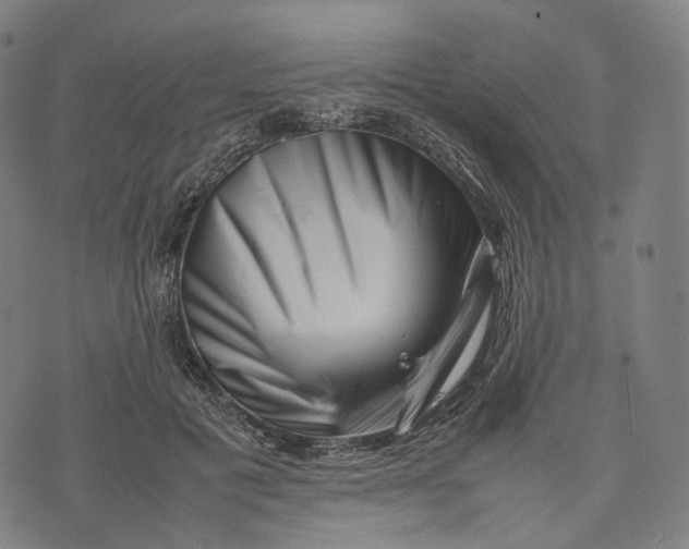 X0000074210601200609151558