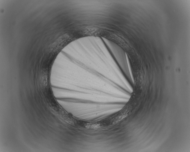 X0000074210602200609151558