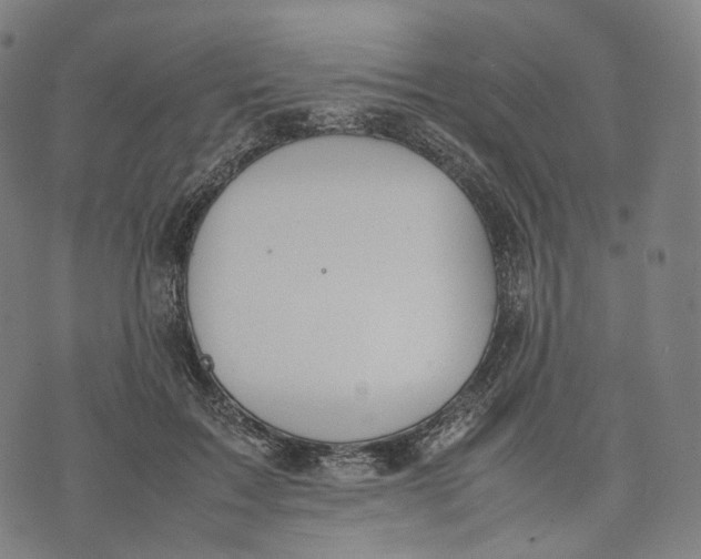 X0000074210603200609151558