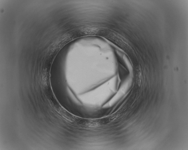 X0000074210604200609151558