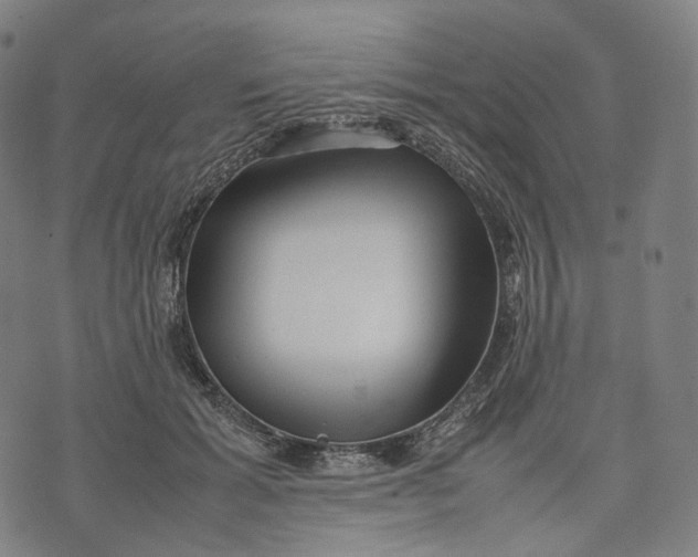 X0000074210605200609151558