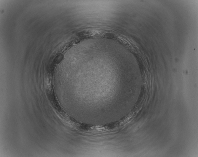 X0000074210607200609151558