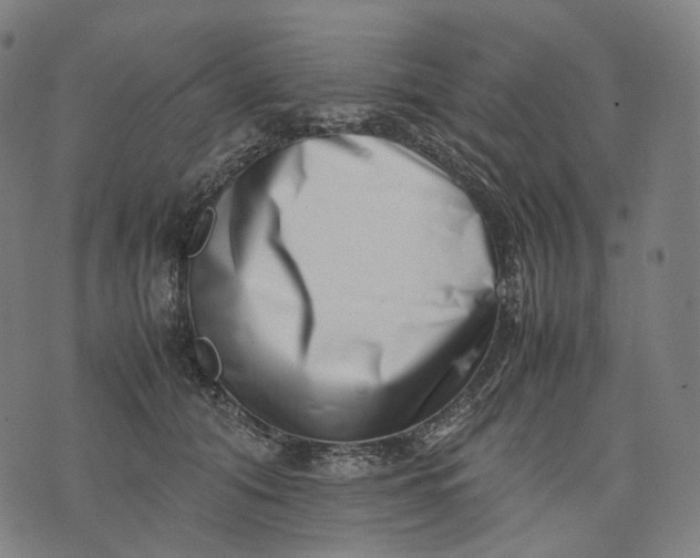 X0000074210608200609151558