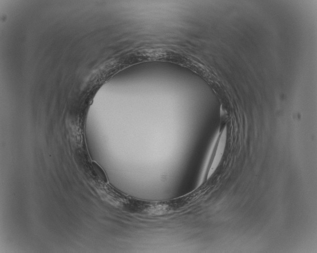 X0000074210609200609151558