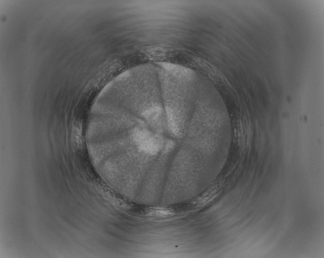 X0000074210610200609151558