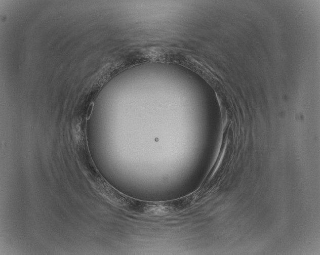 X0000074210611200609151558