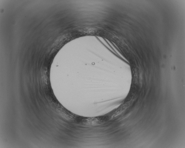 X0000074210612200609151558