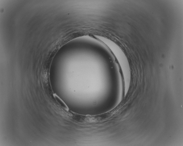 X0000074210613200609151558