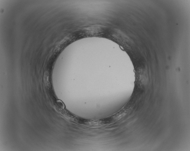 X0000074210615200609151558