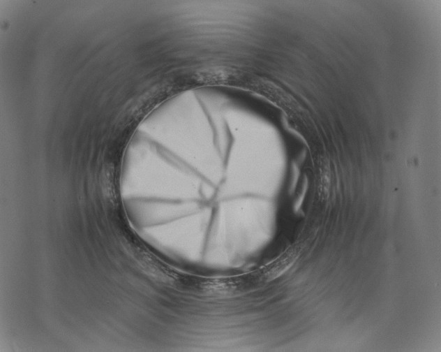 X0000074210616200609151558