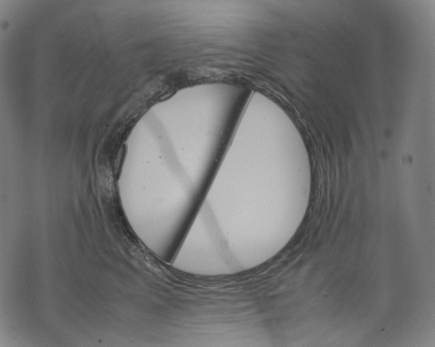 X0000074210617200609151558