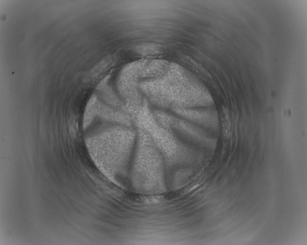 X0000074210618200609151558