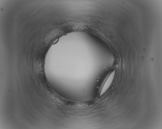 X0000074210619200609151558