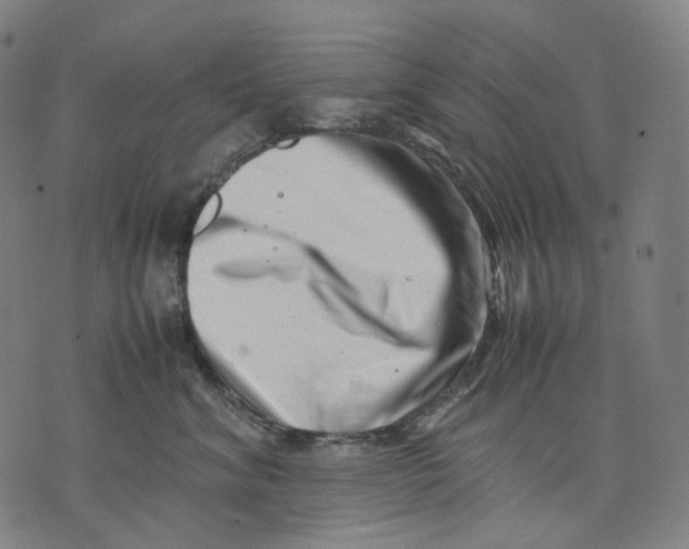 X0000074210620200609151558