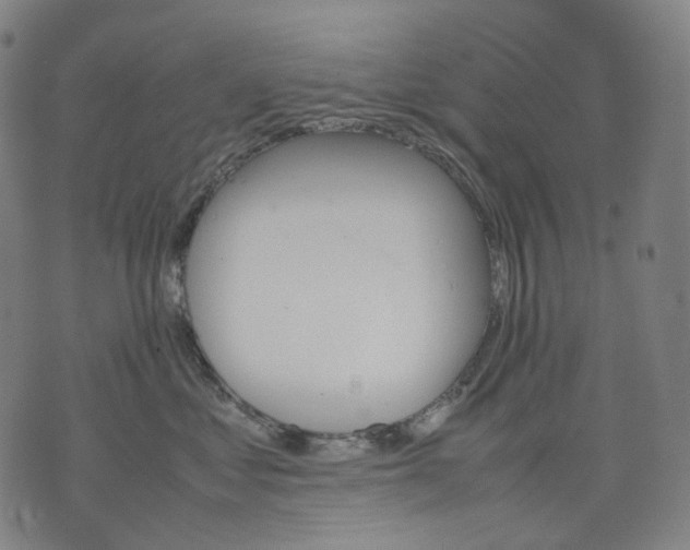 X0000074210621200609151558