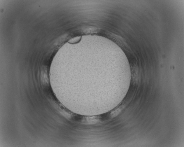 X0000074210622200609151558