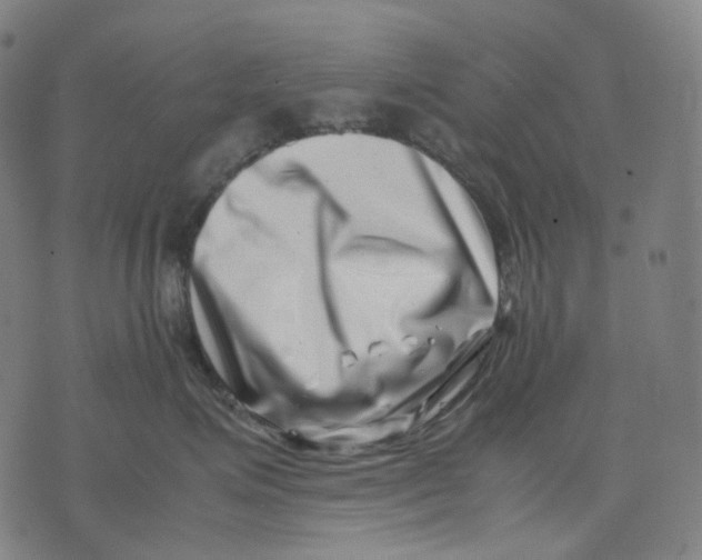 X0000074210623200609151558